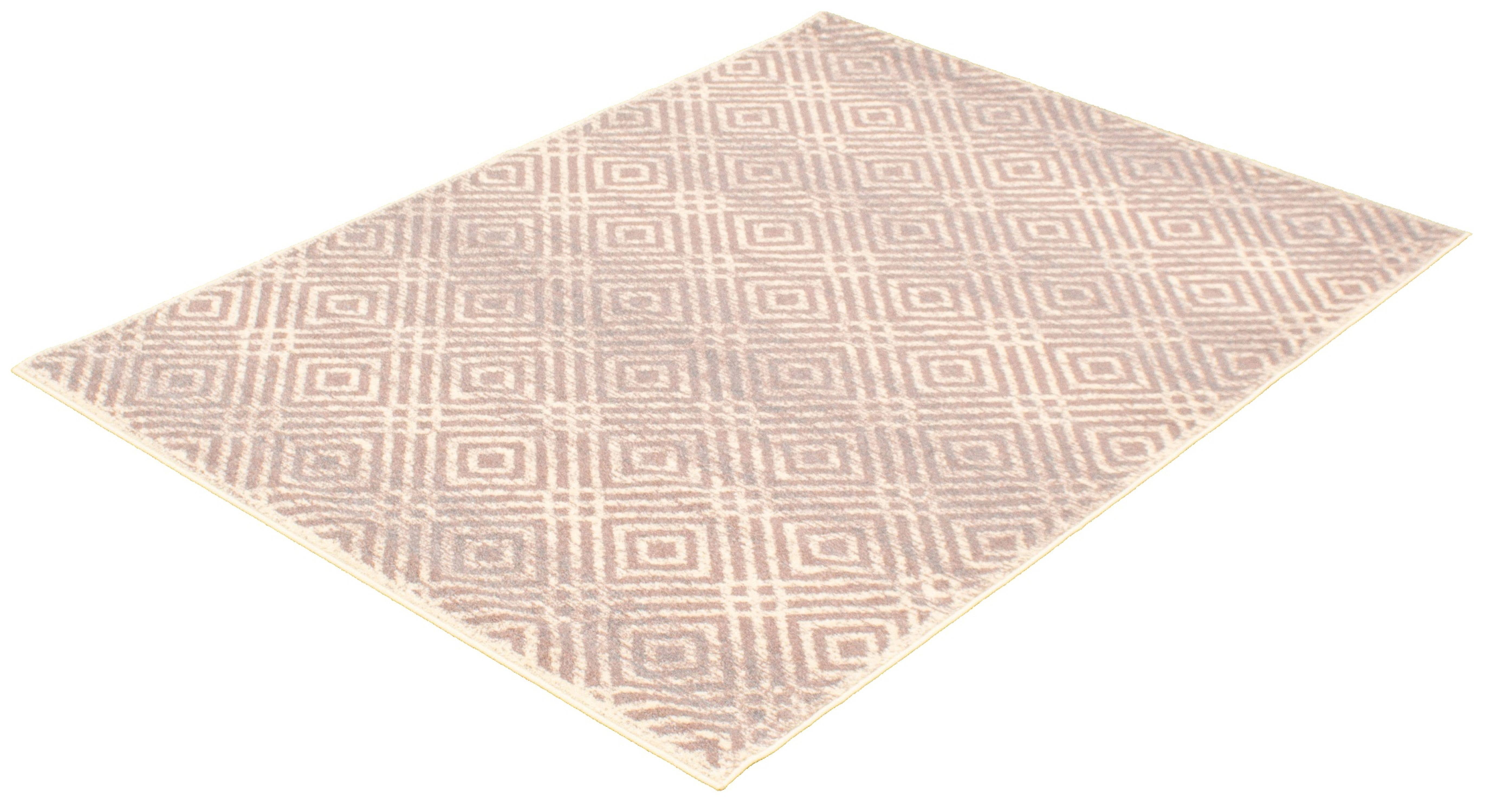 eCarpetGallery Ember Area Rugs Silver-Pink 5'3 X 7'3 
